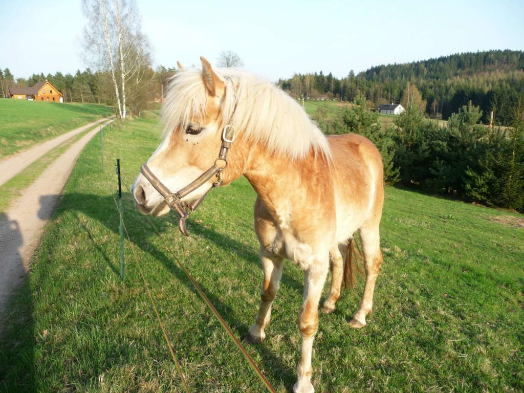Ubytovani Na Vejminku Rtyne v Podkrkonosi Exterior photo